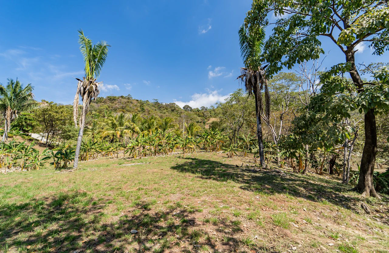 Lote Camaronal Natural: Half Acre Lot Just Mins to the Surf - Gallery image 9