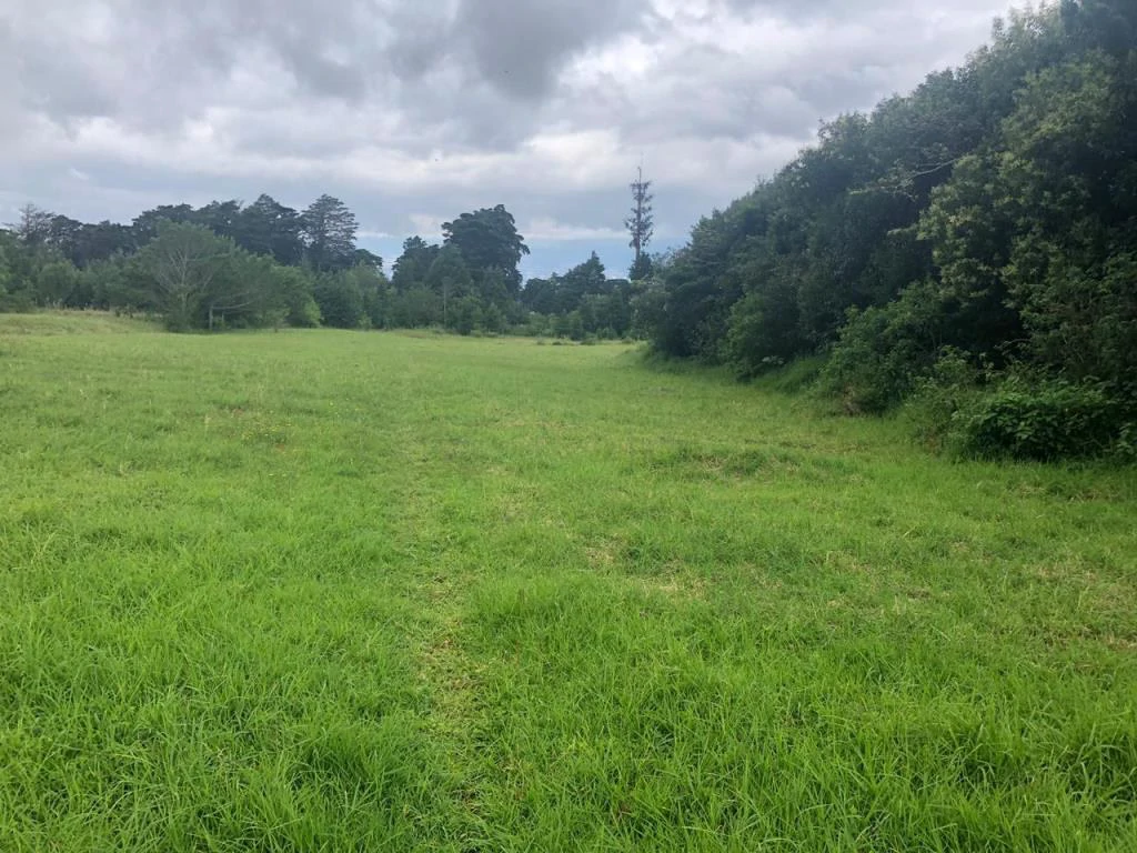 Horse ranch mountain farmland with its own stable's in San Rafael, Heredia - Gallery image 15