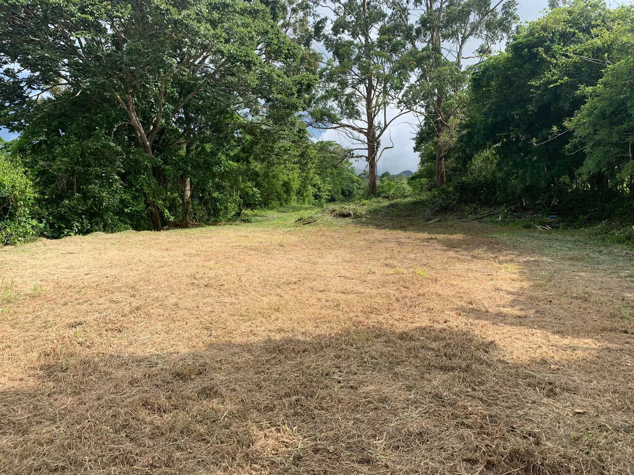 Palmares P440: Terreno Multiuso en Palmares: ¡Ideal para Invertir! - Gallery image 3