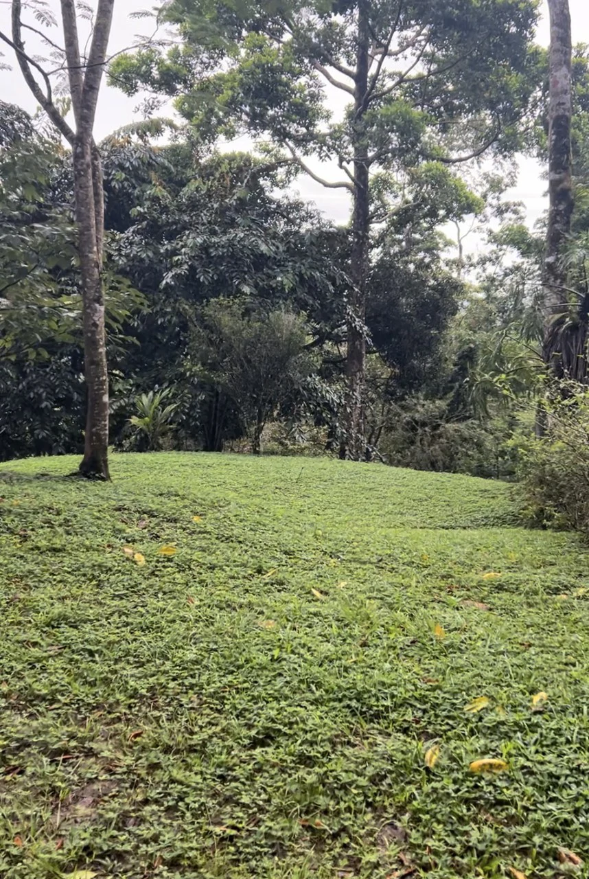 4.2 acres with house and creek: Beautiful property with creek and house - Gallery image 10