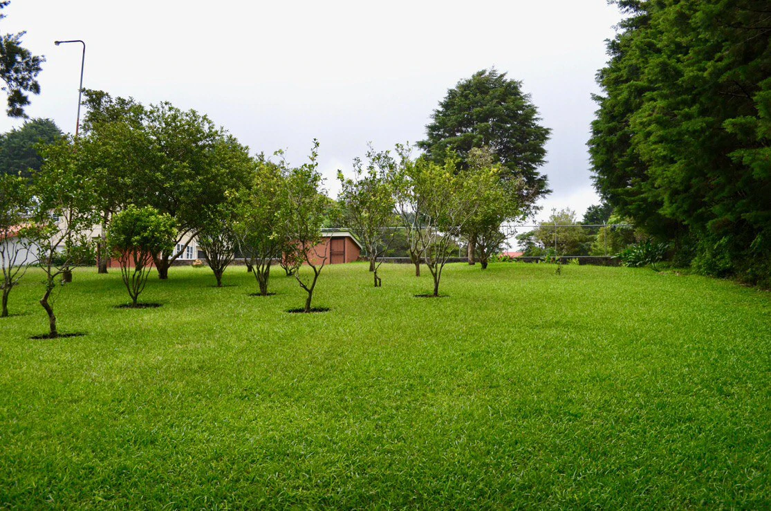 Residencial El Castillo: Property for sale with 2 houses and 3400 sqm2 of land - Gallery image 3