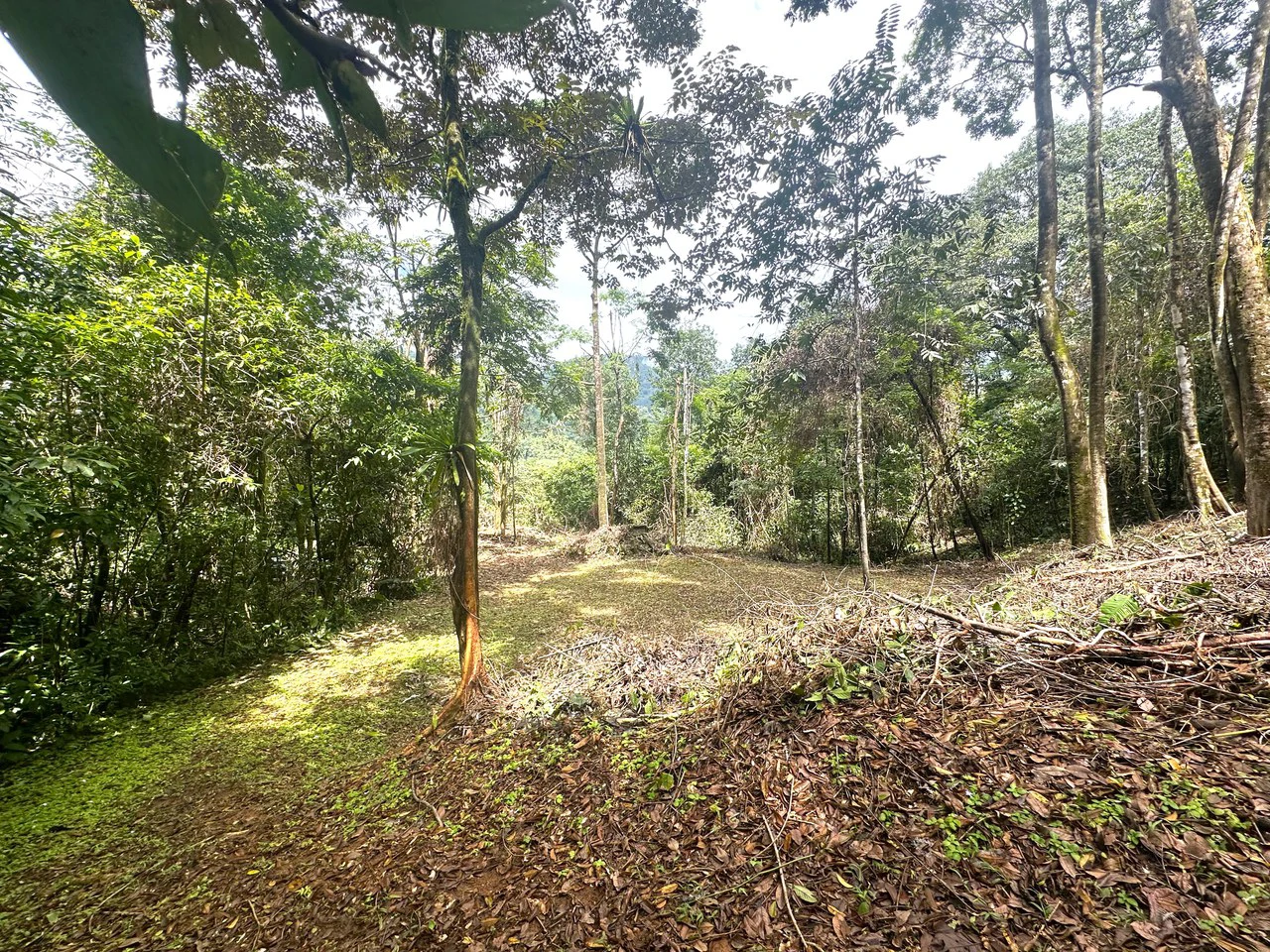 Mountain View Building Lot in Prestigious Gated Community With Private Waterfall & Two Building Sites: Mountain Home Construction Site For Sale in Portalon - Gallery image 7