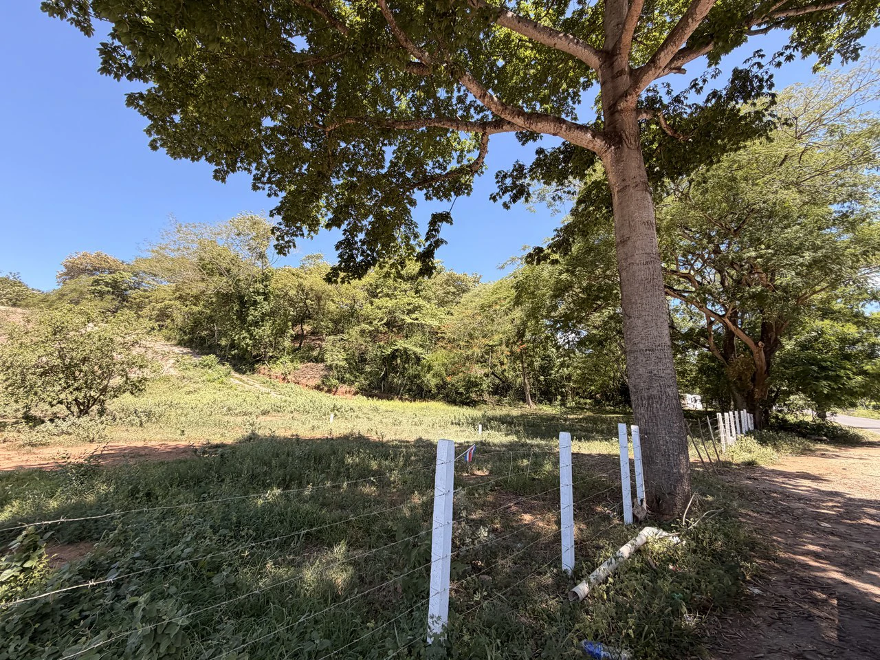 Commercial Development Land: Near Huacas - photo 12