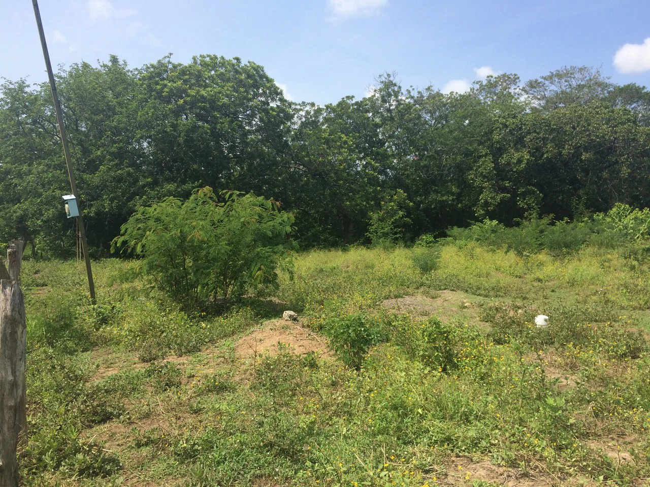 PROPERTY CLOSE TO THE AIRPORT OF LIBERIA.: Near the Coast and Countryside Development Parcel For Sale in Guardia
