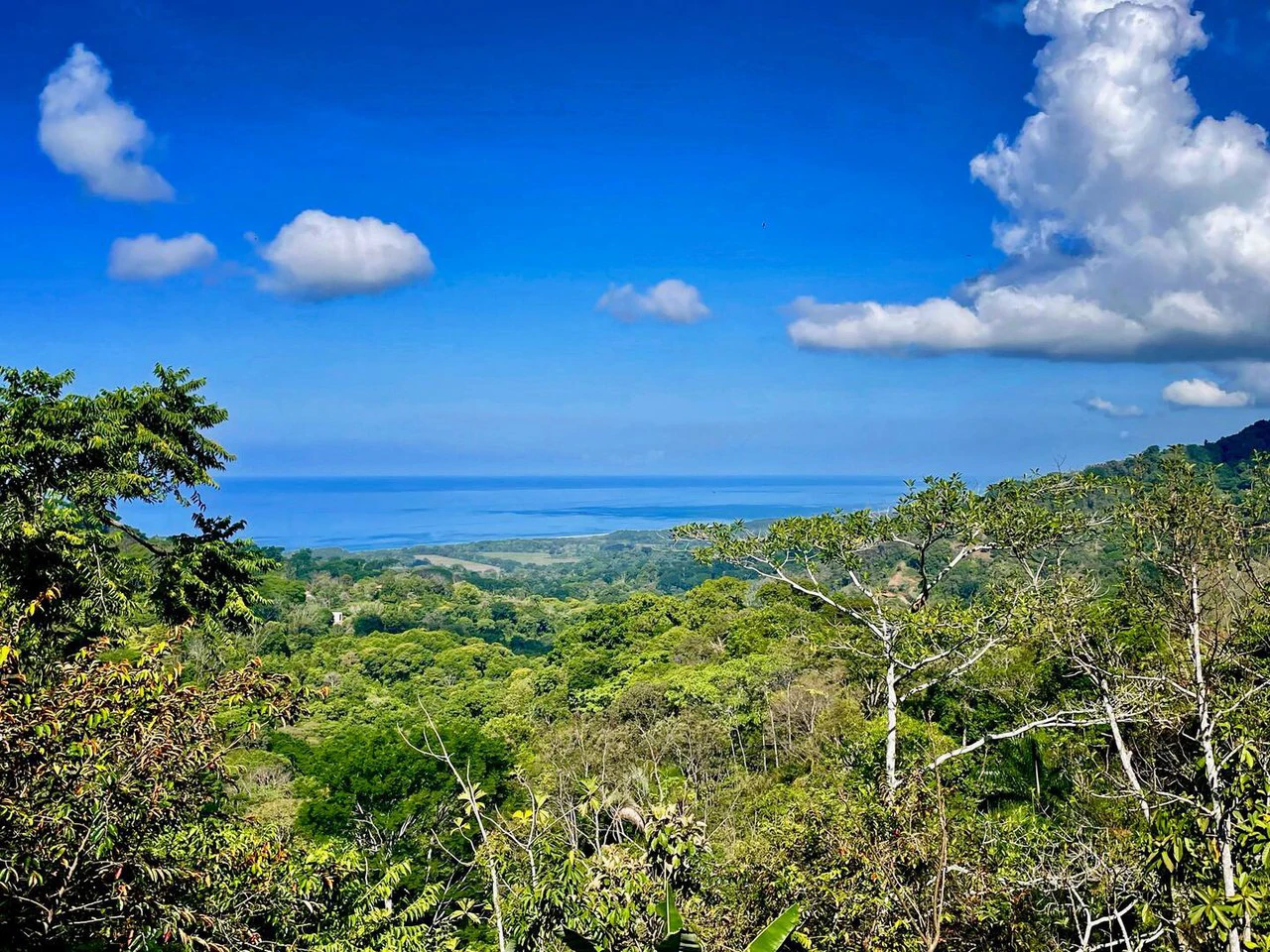 2.4 ACRES – 3 Bedroom Main Home Plus 1 Bedroom Casita And Cabina, Luxury Ocean View Property, 15min to Dominical!!: Near the Coast and Mountain House For Sale in Lagunas - Gallery image 29