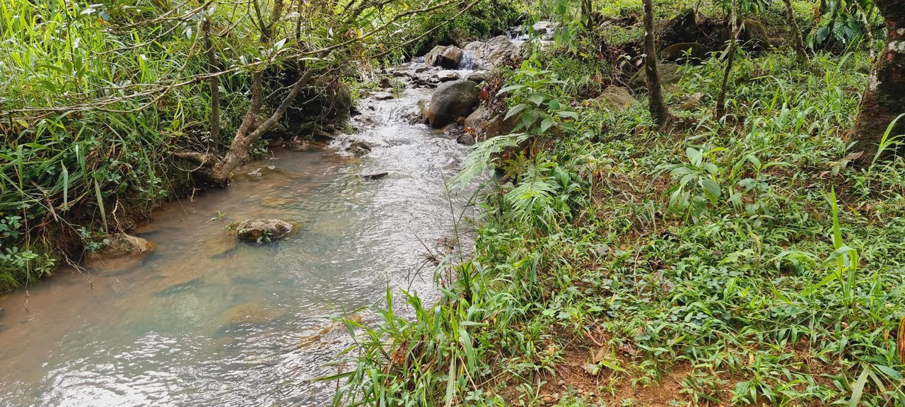 Lote 46 RISE: BEAUTIFUL 1.37-ACRE LOT WITH CREEK FOR SALE IN THE HEART OF THE RESIDENCIAL RISE, SANTA ELENA - Gallery image 9