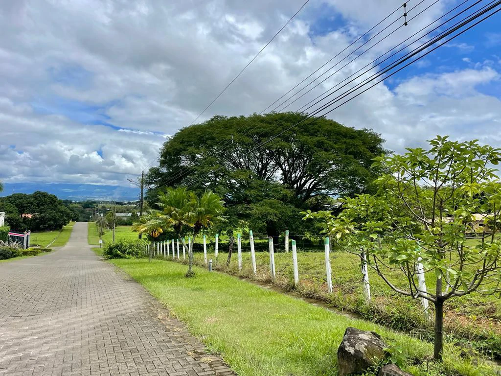 Lote for Sale in Gated Community Guácima Alajuela Costa Rica - Gallery image 7