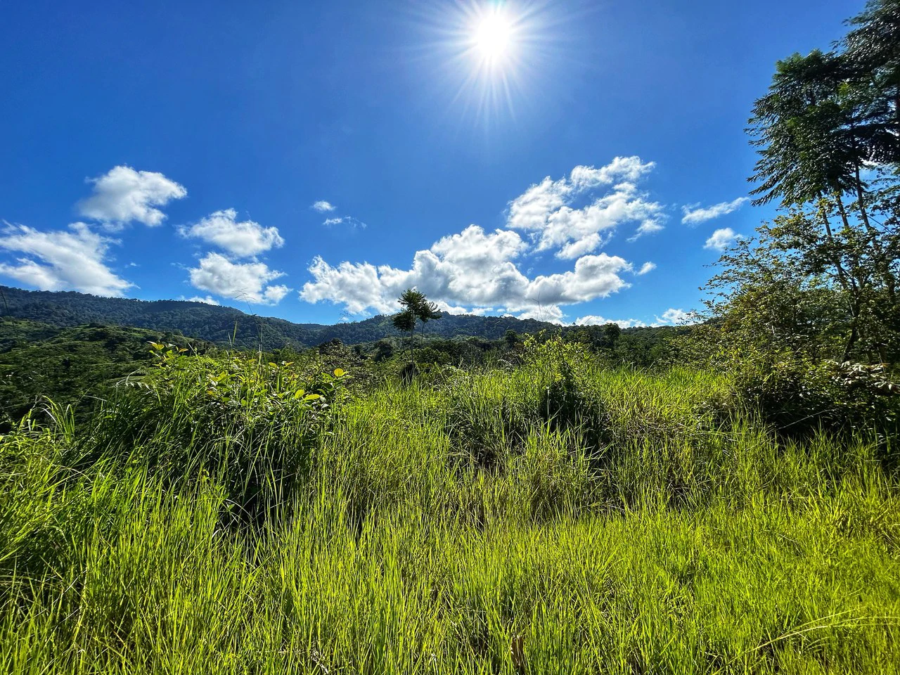 Exclusive Two-Lot Oasis: Your Dream Home Awaits in Gated Paradise! - Gallery image 25