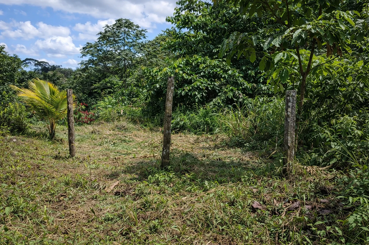 10-Hectare Farm for Sale in Sarapiquí, Heredia – Two Internal Rivers & Public Road Frontage | Ideal for Eco-Development - Gallery image 5