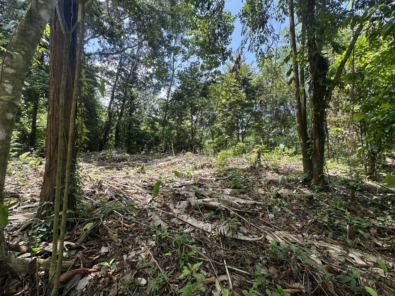 Ocean View Estate Lot with Private Waterfall – Uvita - Gallery image 16