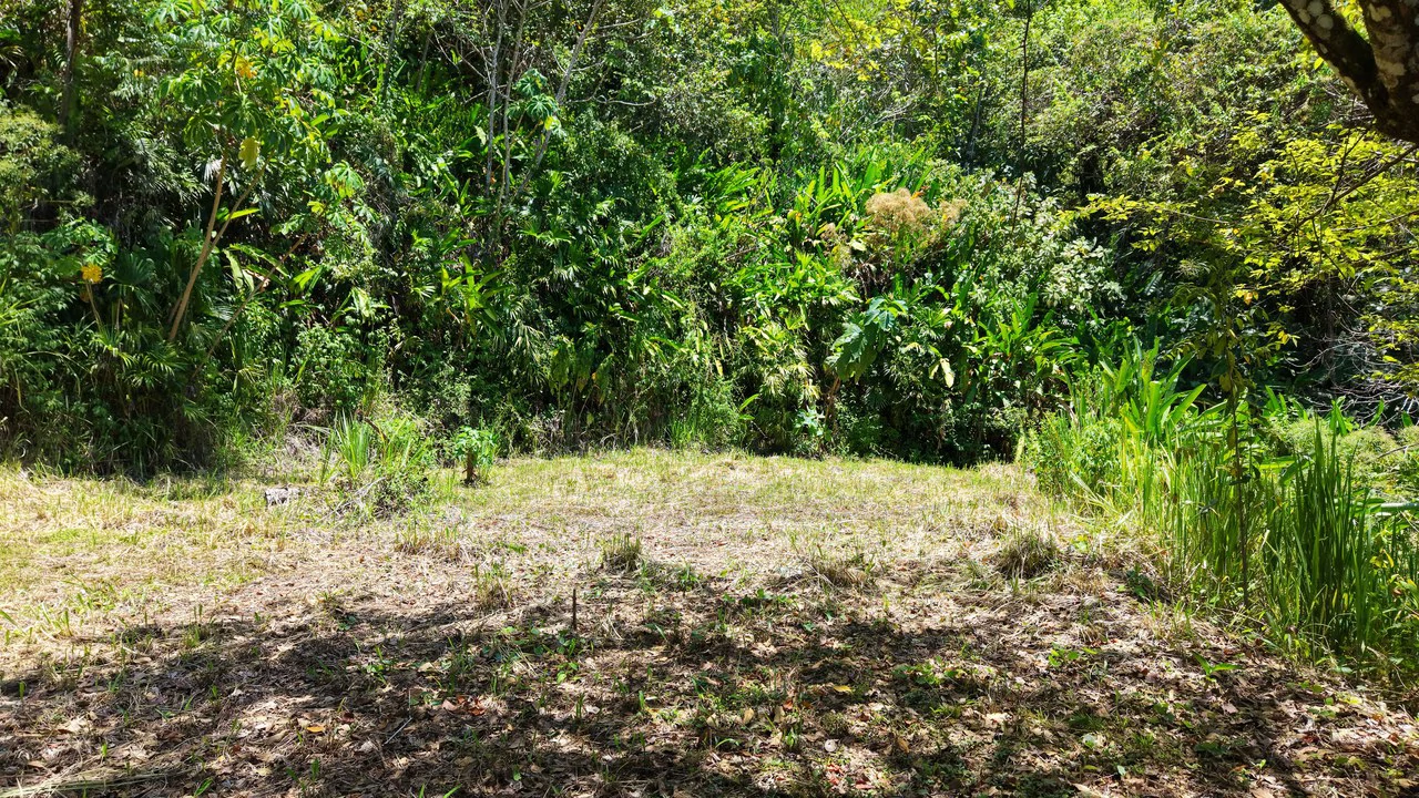 Near the Coast Home Construction Site For Sale in Ciudad Cortés - Gallery image 20
