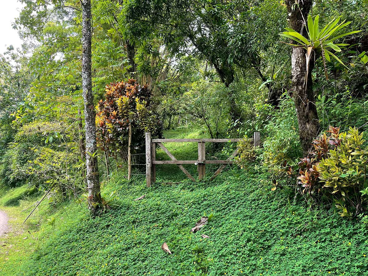 ID 4167: Investment Opportunity: 8-Acre Reforested Mountain Finca in Puriscal - Gallery image 21