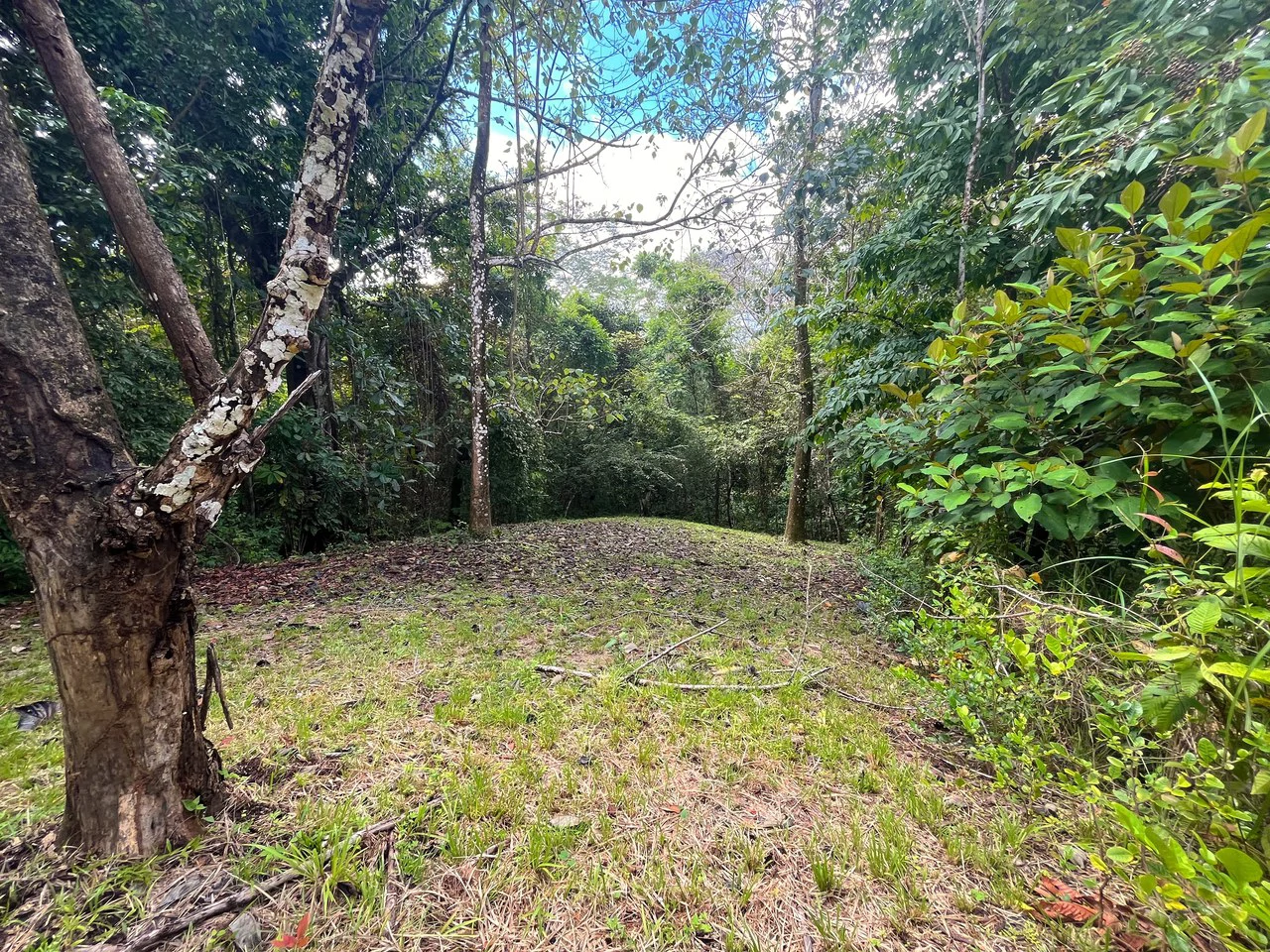 6000m2 Ready to Build Lot in Delicias: Great Price with Project and Permits included - Gallery image 9