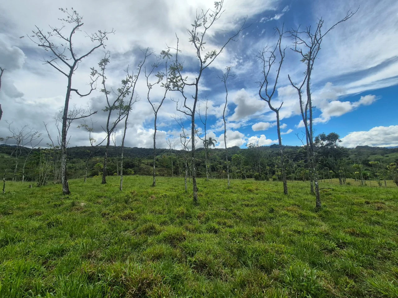 Countryside Agricultural Land For Sale in Centro de Pérez Zeledón - Gallery image 10