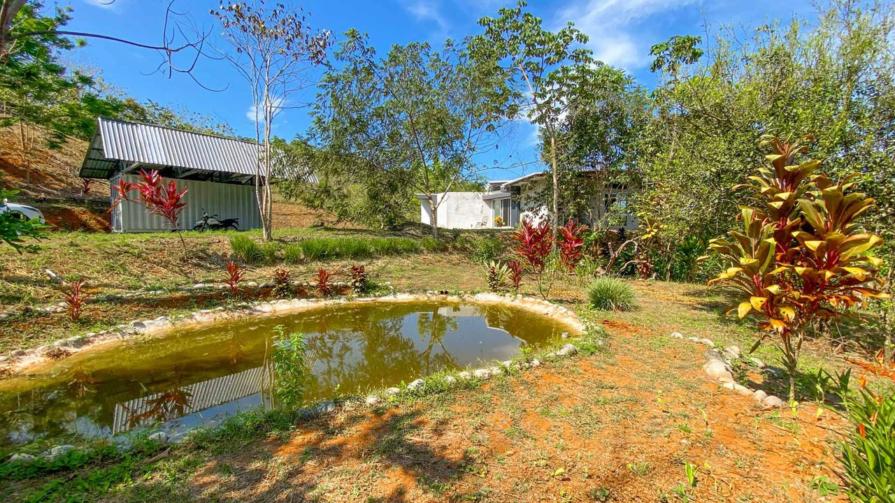 32 Acre Self Sustainable Farm with House Close Ojochal - Gallery image 6