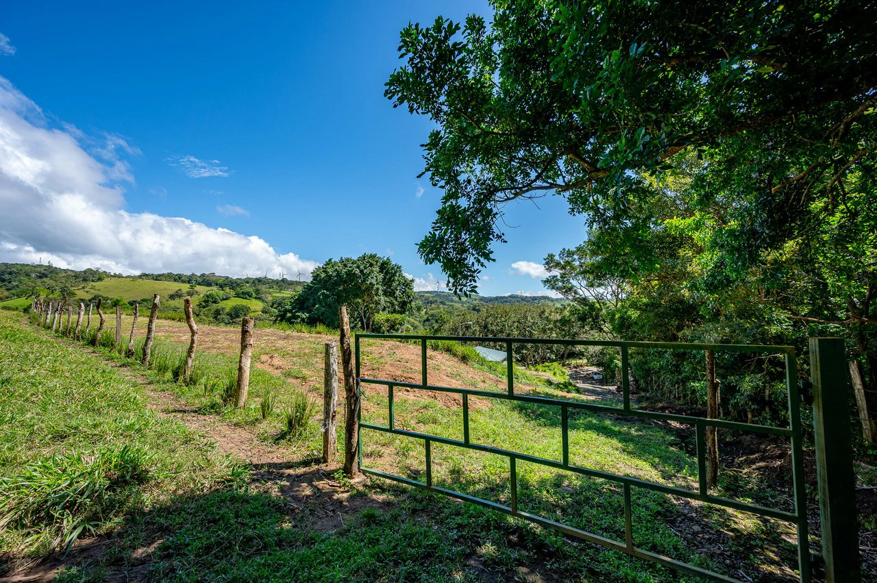 LA CABAÑA - COUNTRY ESTATE WITH HUGE POTENTIAL - Gallery image 33