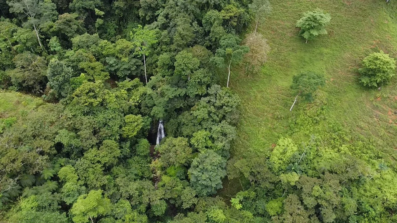 Se vende 39ha en Barú, Perez Zeledón: Mountain Home Construction Site For Sale in Barú - Gallery image 21