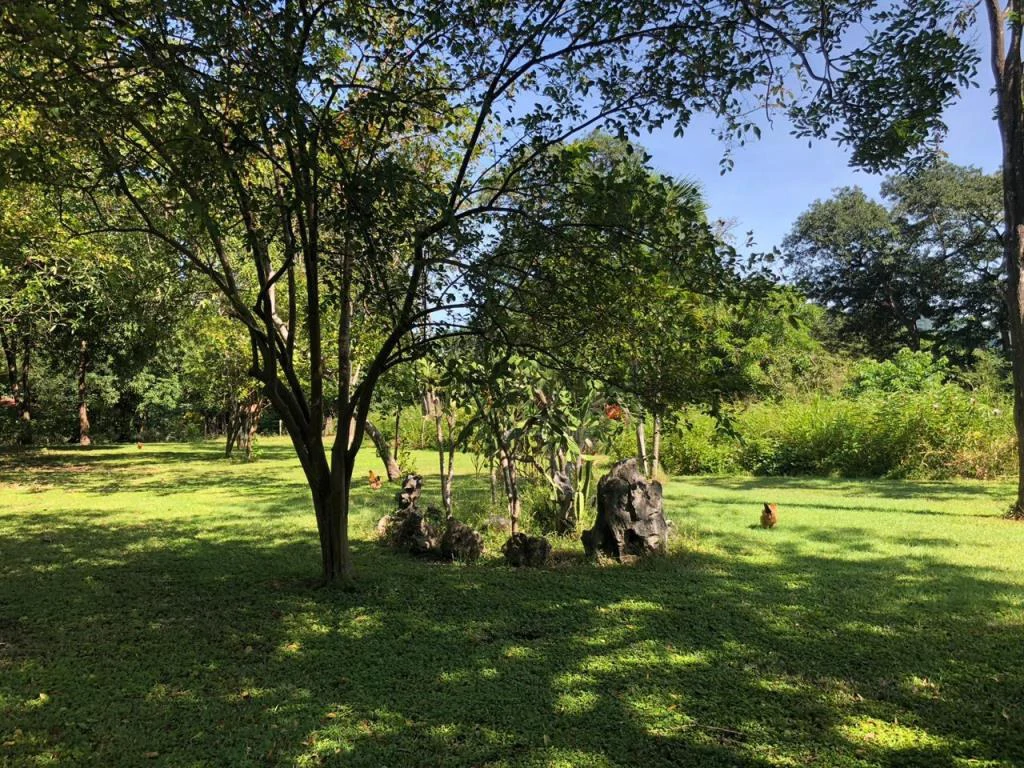 Huge dream Cattle farm for sale with 2 houses close to the Gulf of Nicoya, Guanacaste, Costa Rica
