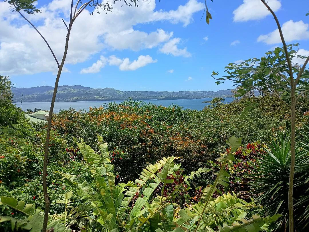 CASA  TROPICANA - Lake View Oasis Near Nuevo Arenal - Gallery image 63