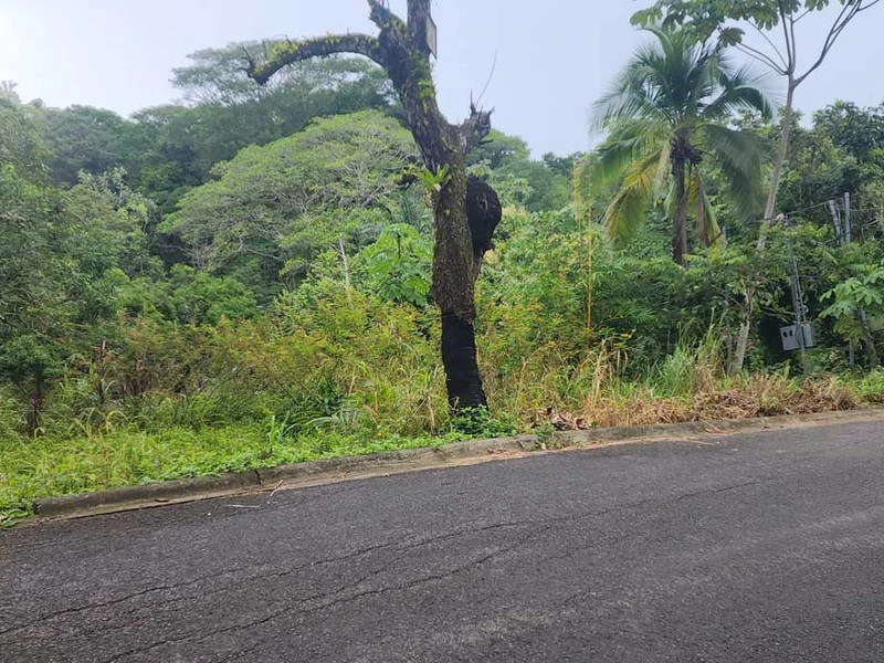 Subdividable lot in Manuel Antonio - Gallery image 3