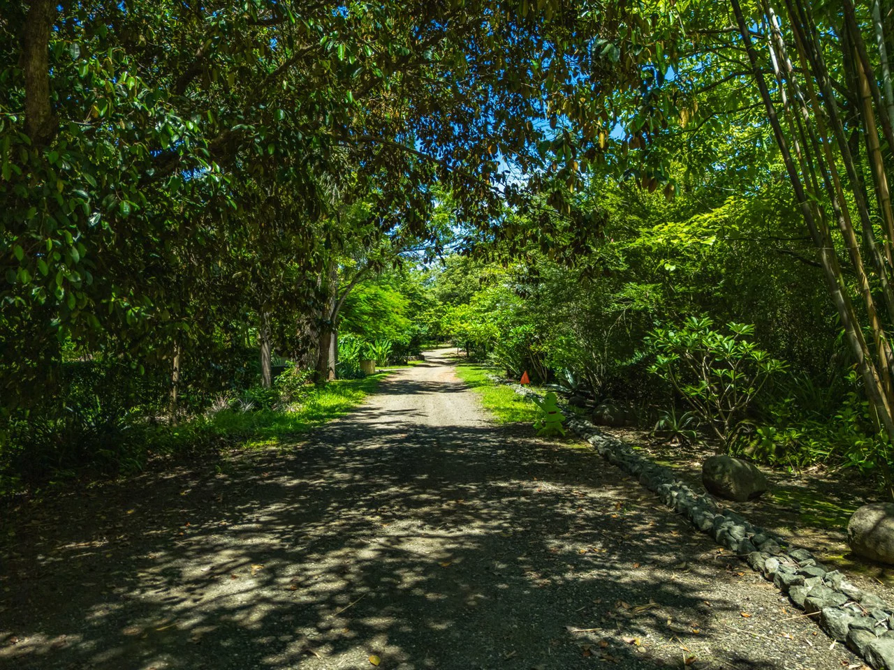 Tierra Pacifica #22: 1.5 Acre Homesite with Water Meter - Gallery image 23
