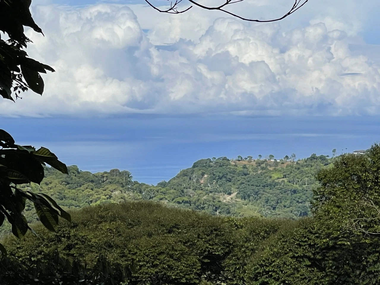 Ocean View Forest Reserve with Private Homesite Near Tinamastes - Gallery image 3