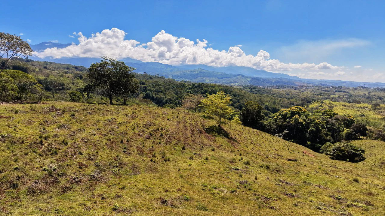 Agricultural Land For Sale in MORAZAN - Gallery image 7
