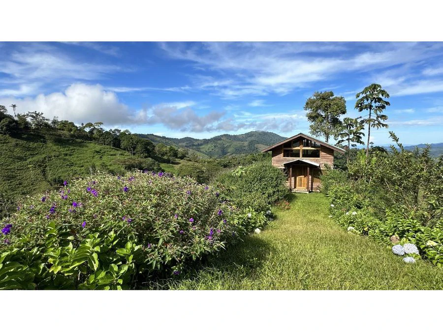 BEAUTIFUL MOUNTAIN VIEW FINCA WITH CABIN IN RIO NUEVO - Gallery image 9