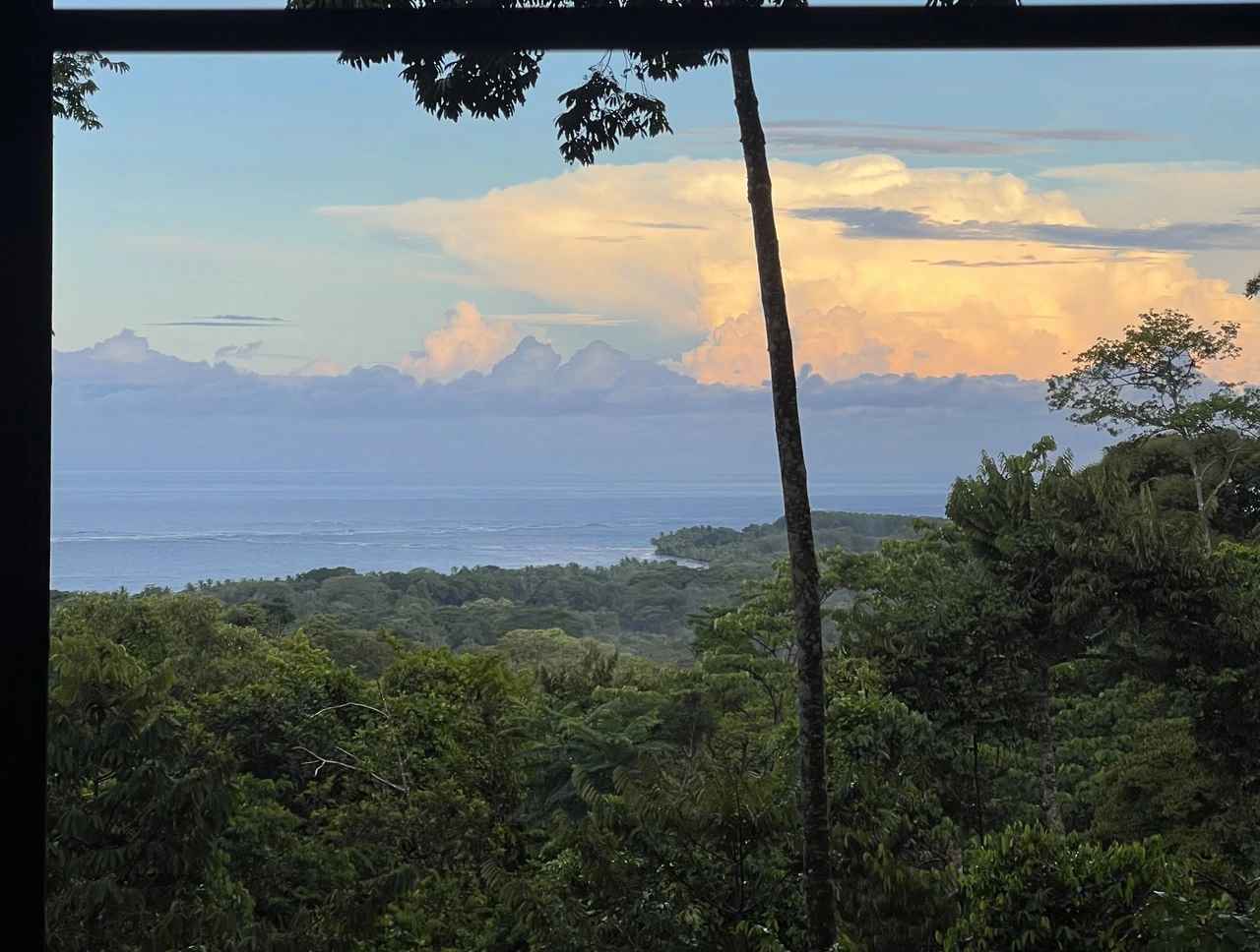 1.7 Acres Ocean View Lot with Producing Cabin in Uvita - Gallery image 17