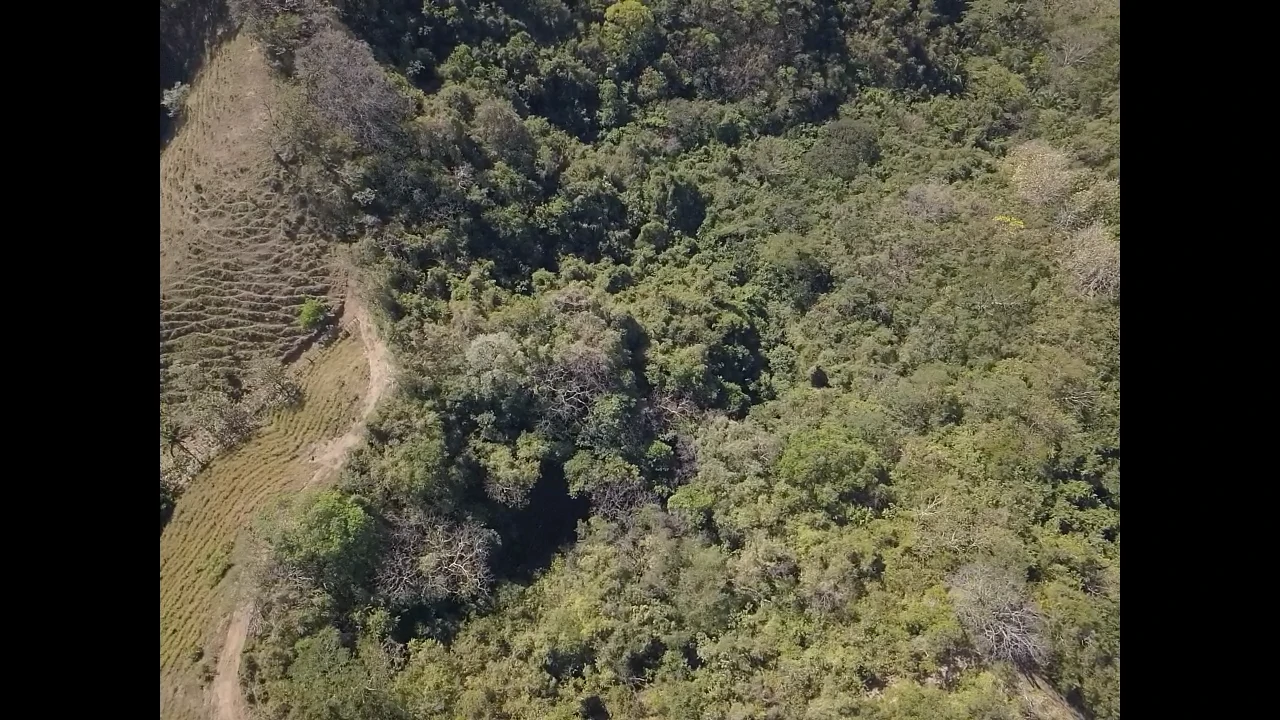 Finca Nora - Your Exclusive Tropical Paradise near Barrigona and Samara beach: Mountain Home Construction Site For Sale in Playa Samara - Gallery image 9