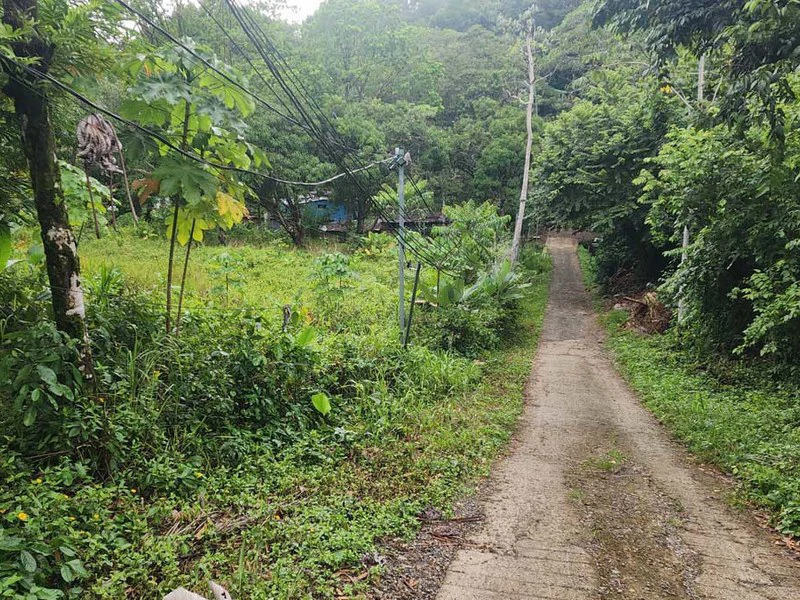 Subdividable lot in Manuel Antonio - Gallery image 6