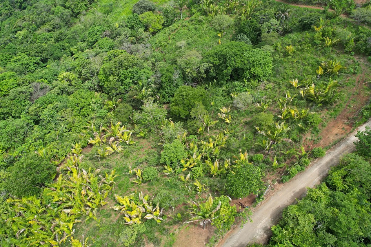 Lotes Paraíso: Spectacular Ocean and Mountain View 5.77 acres Development Land - Gallery image 8