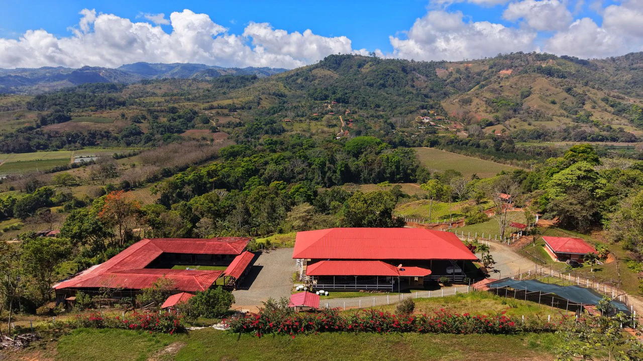 Agricultural Land For Sale in Daniel Flores - Gallery image 24