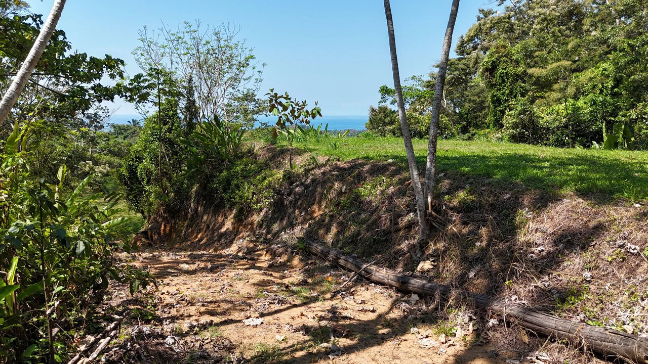 Exceptional Development Opportunity 71 acre Riverfront & Ocean View in Hatillo - Gallery image 22