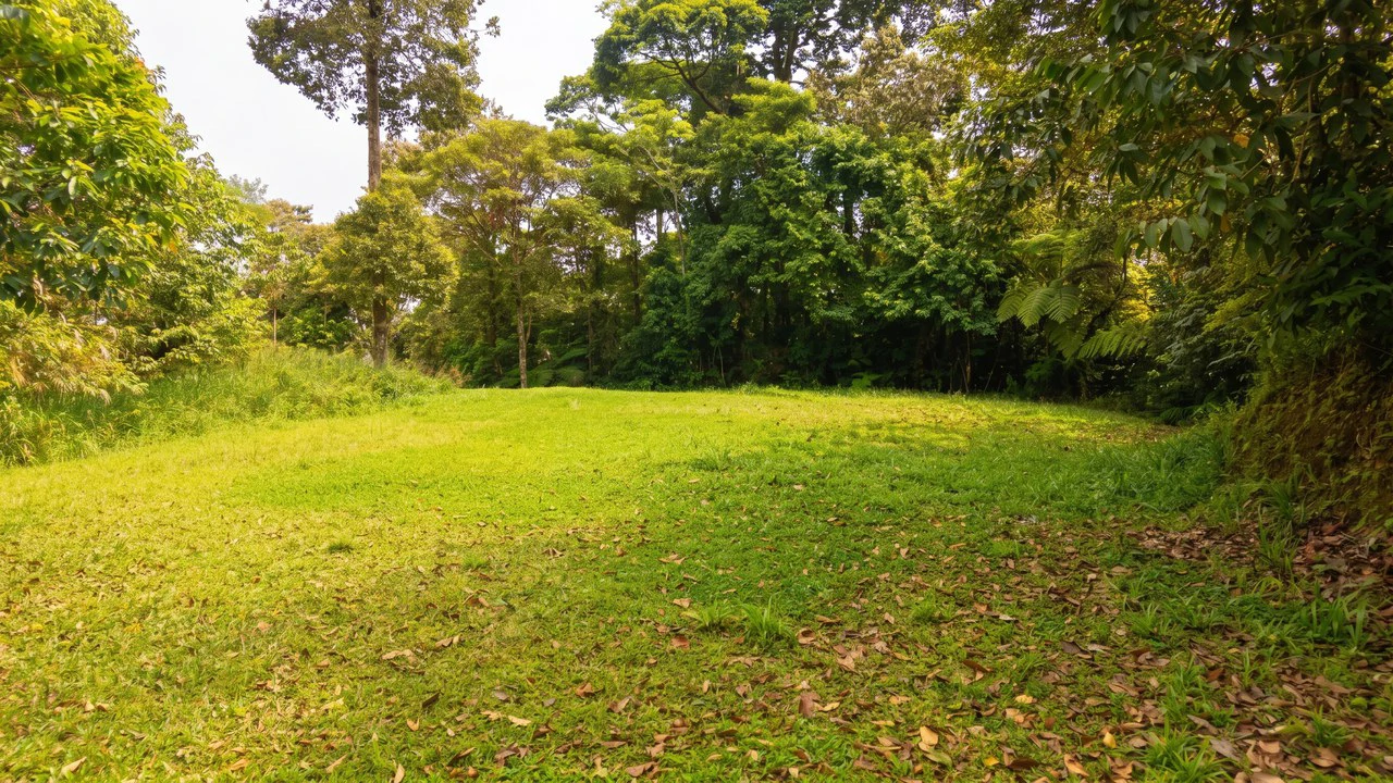 Mountain House For Sale in San Isidro del General - photo 11