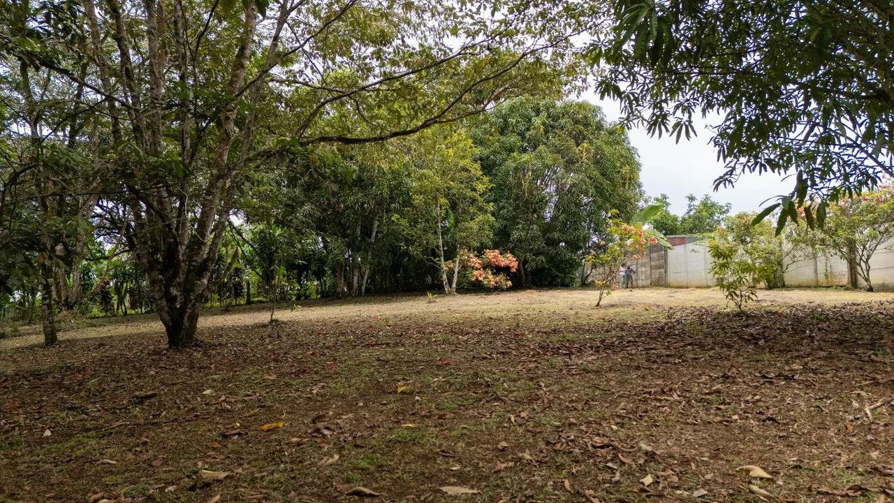 Lot for sale, Located in Barrio La Lucha, Perez Zeledon: Spacious lot for sale in La Lucha Perez Zeledon - Gallery image 4