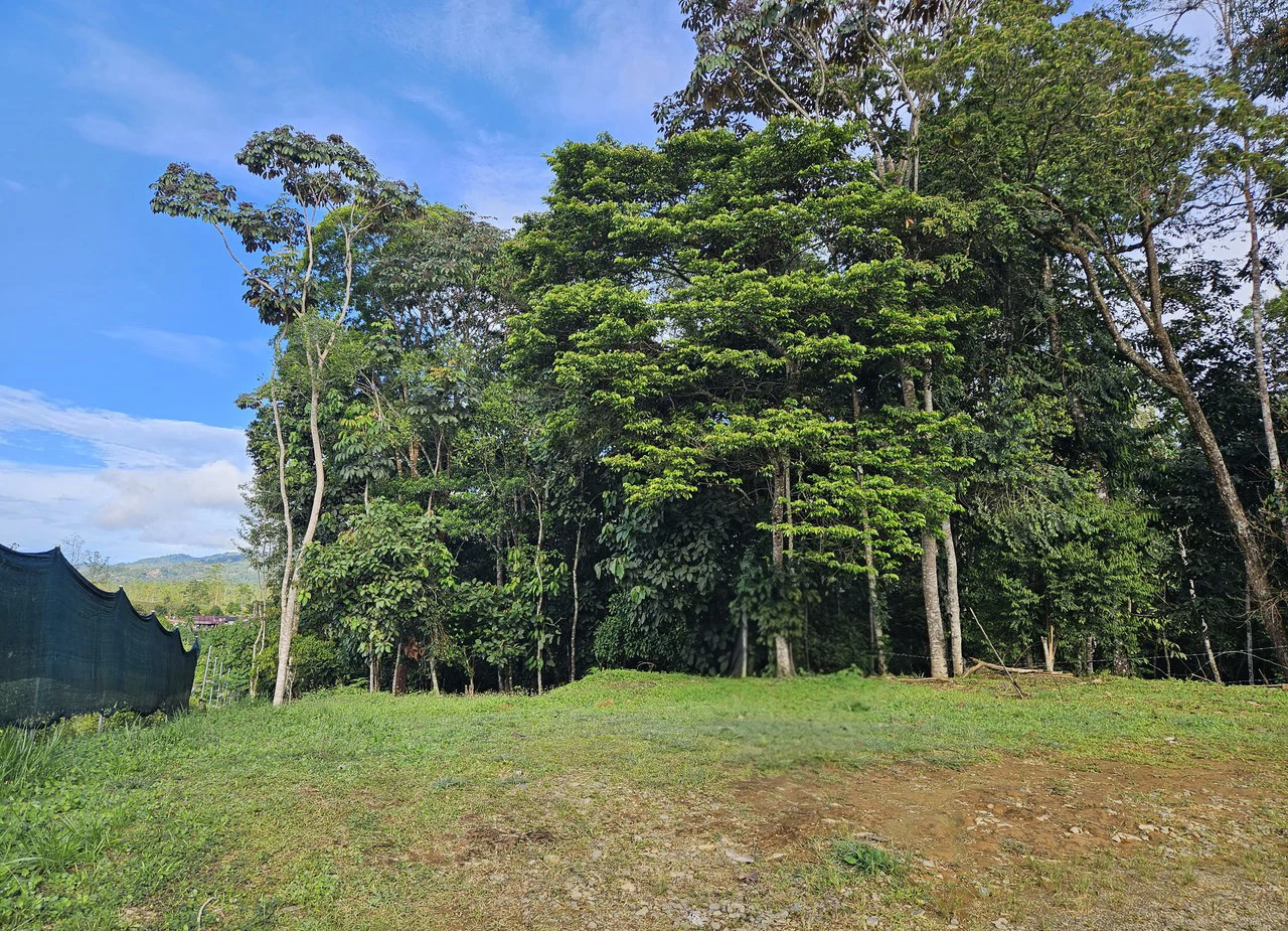 Home Construction Site For Sale in San Isidro del General - Gallery image 2