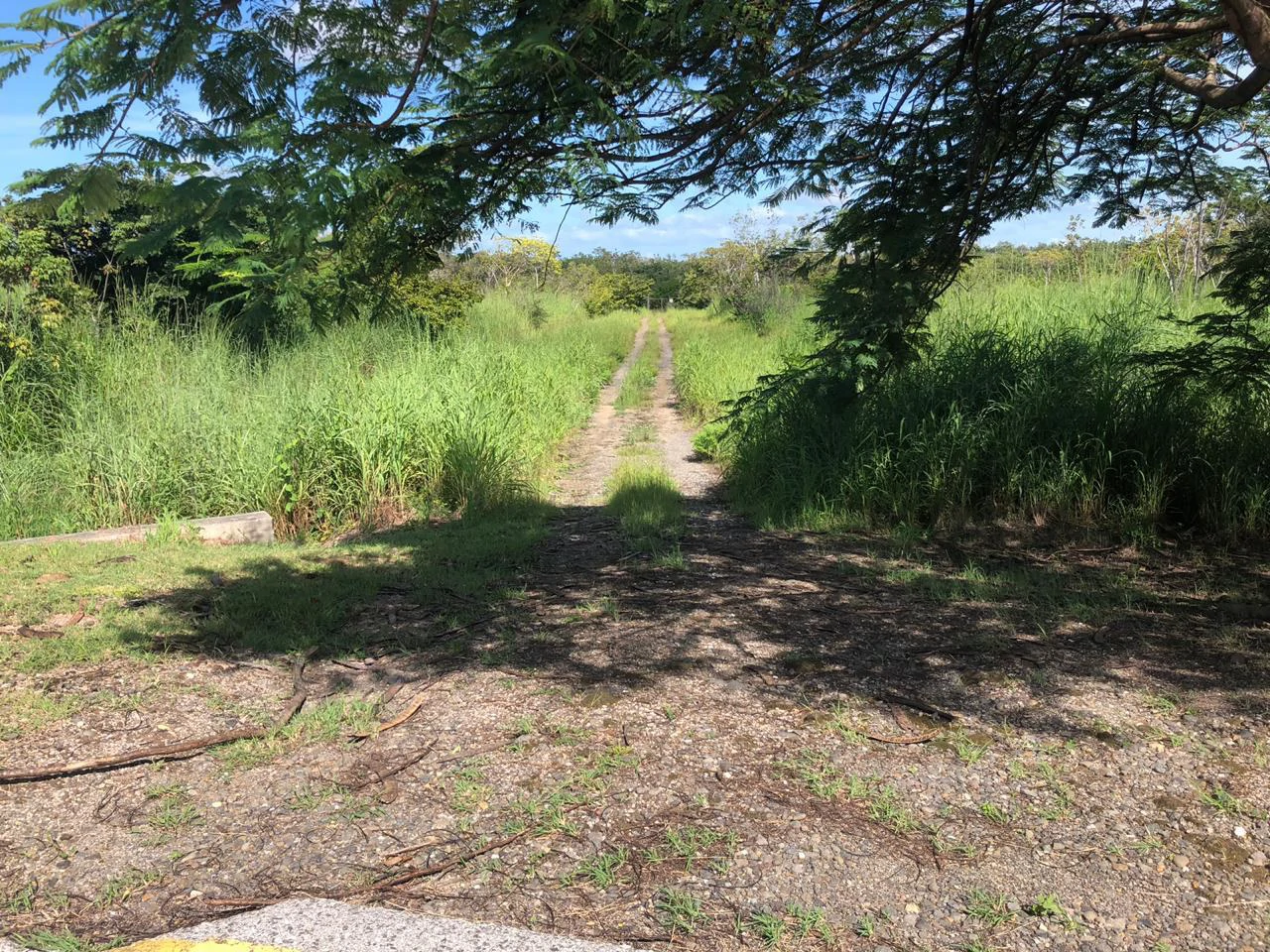 Great investment opportunity, property adjacent to Liberia Airport - Gallery image 15