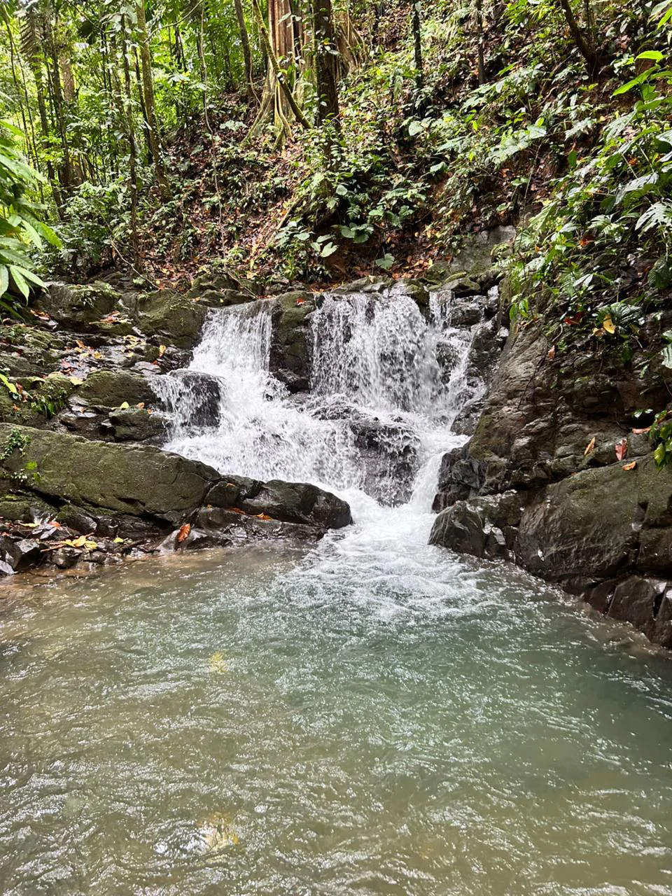 Finca Las Cataratas in Ballena: Mountain Home Construction Site For Sale in Bahía Ballena - Gallery image 28