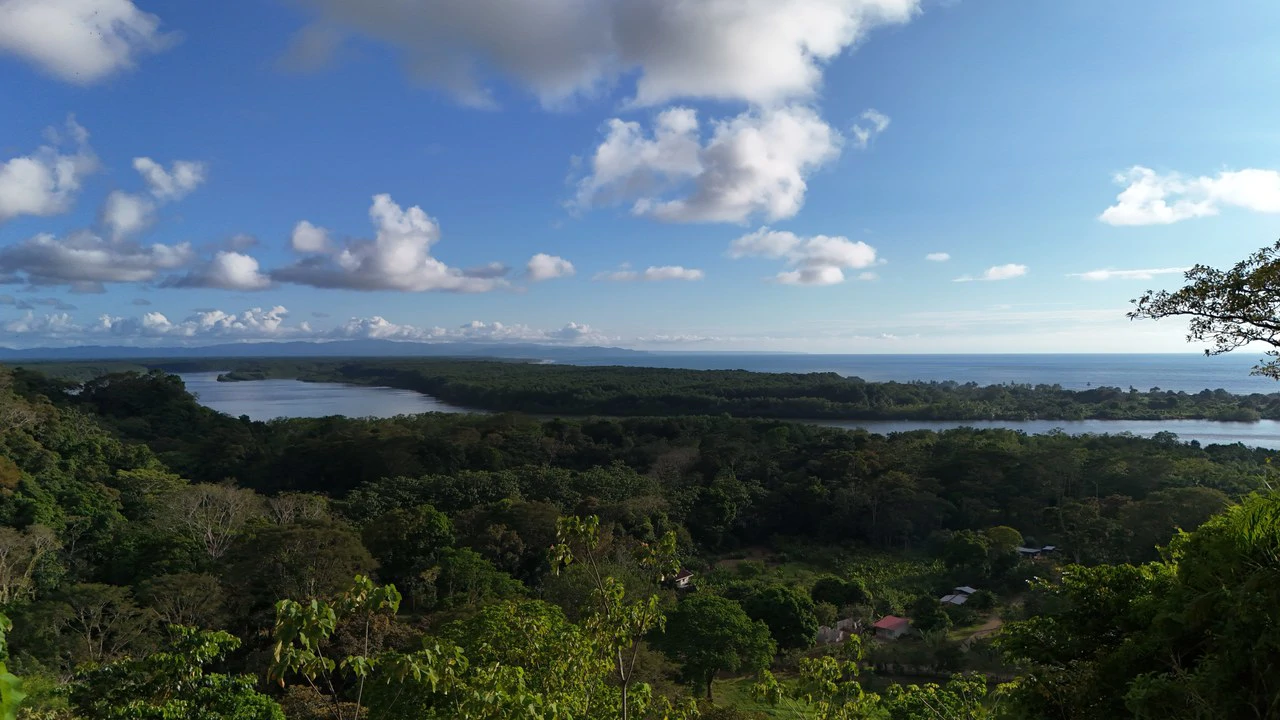 Stunning Ocean and Terraba River view property in Ojochal - Gallery image 6