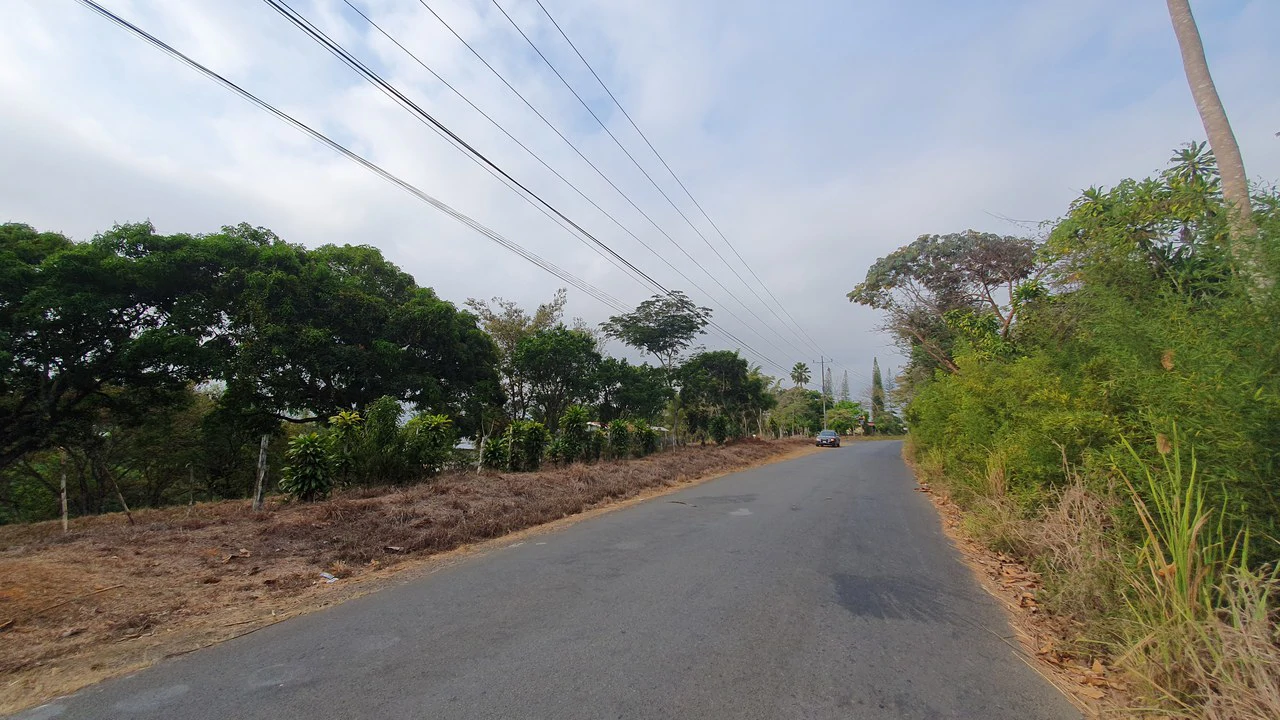 FRUIT TREE PROPERTY FOR SALE: Home Construction Site For Sale in San Isidro del General - Gallery image 6