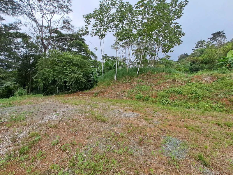Where Ocean Vistas, Jungle Symphony, and Mountain Breezes Unite! - Gallery image 7