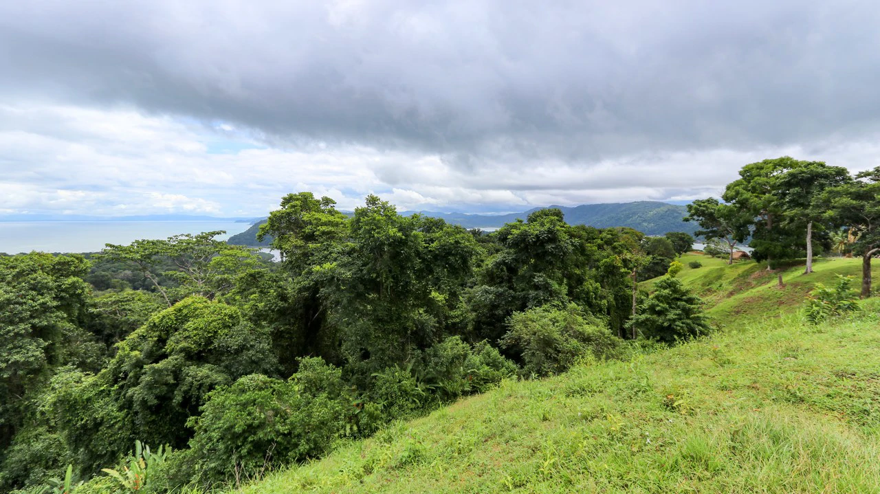 Unique Development Property Overlooking the Pristine Golfito Bay and Golfo Dulce - Gallery image 30