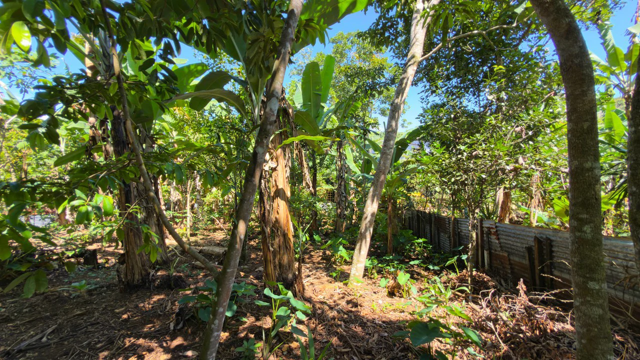 House For Sale in Pavones - Gallery image 13