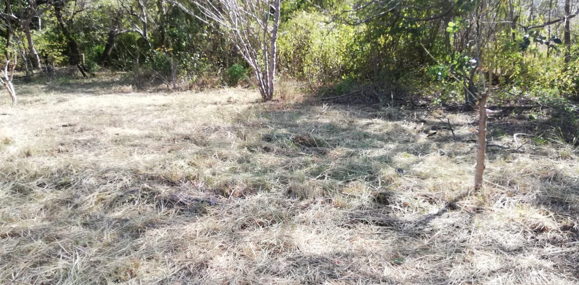 Property in Coco Beach - Gallery image 4