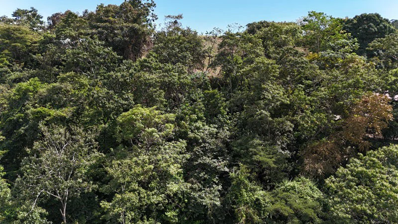 Luxury Gated Ocean-View Land Minutes from Manuel Antonio National Park and Marina - Gallery image 7