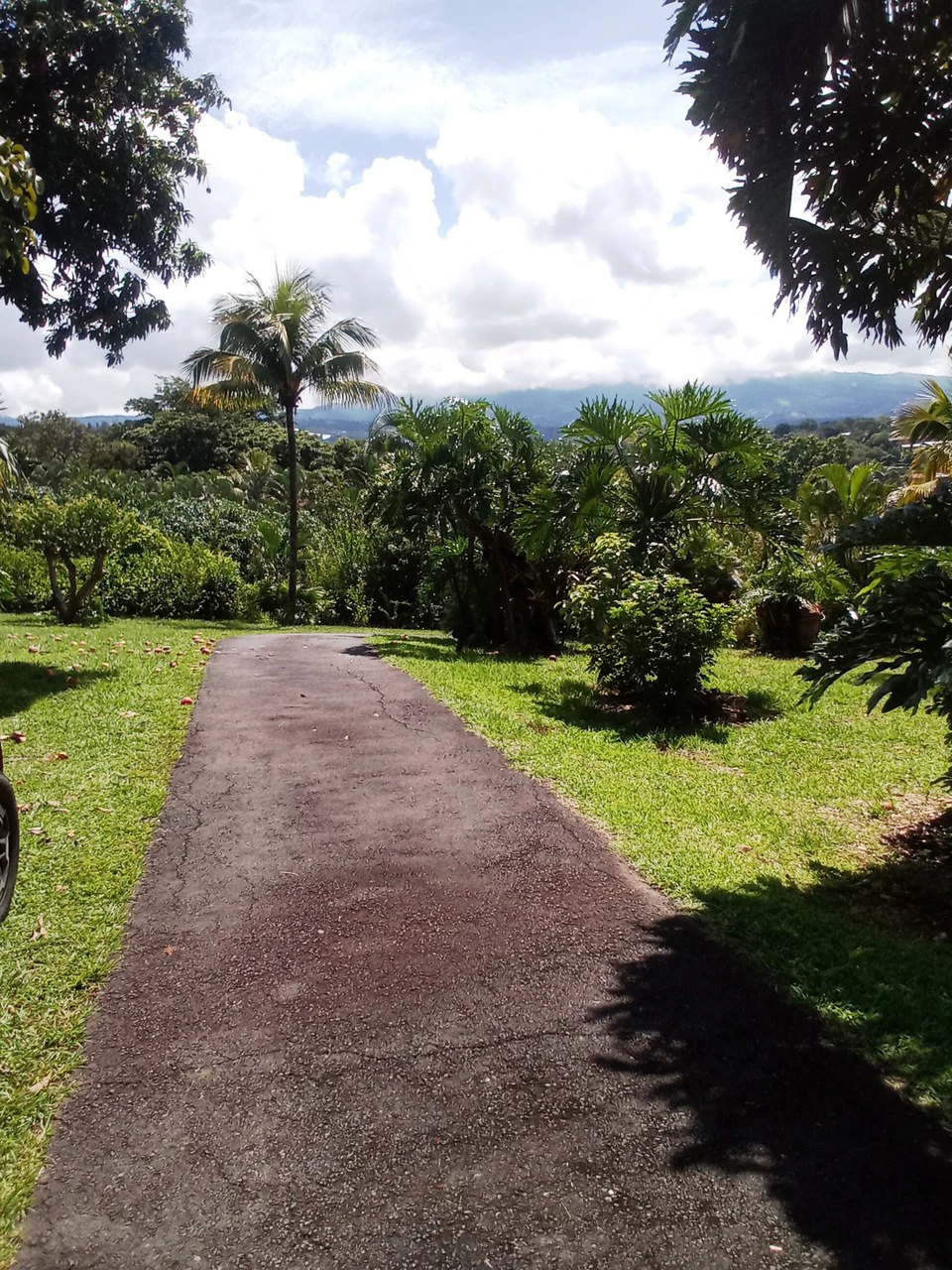 Sarchi City Compound: Spacious Private Finca near the City! - Gallery image 8