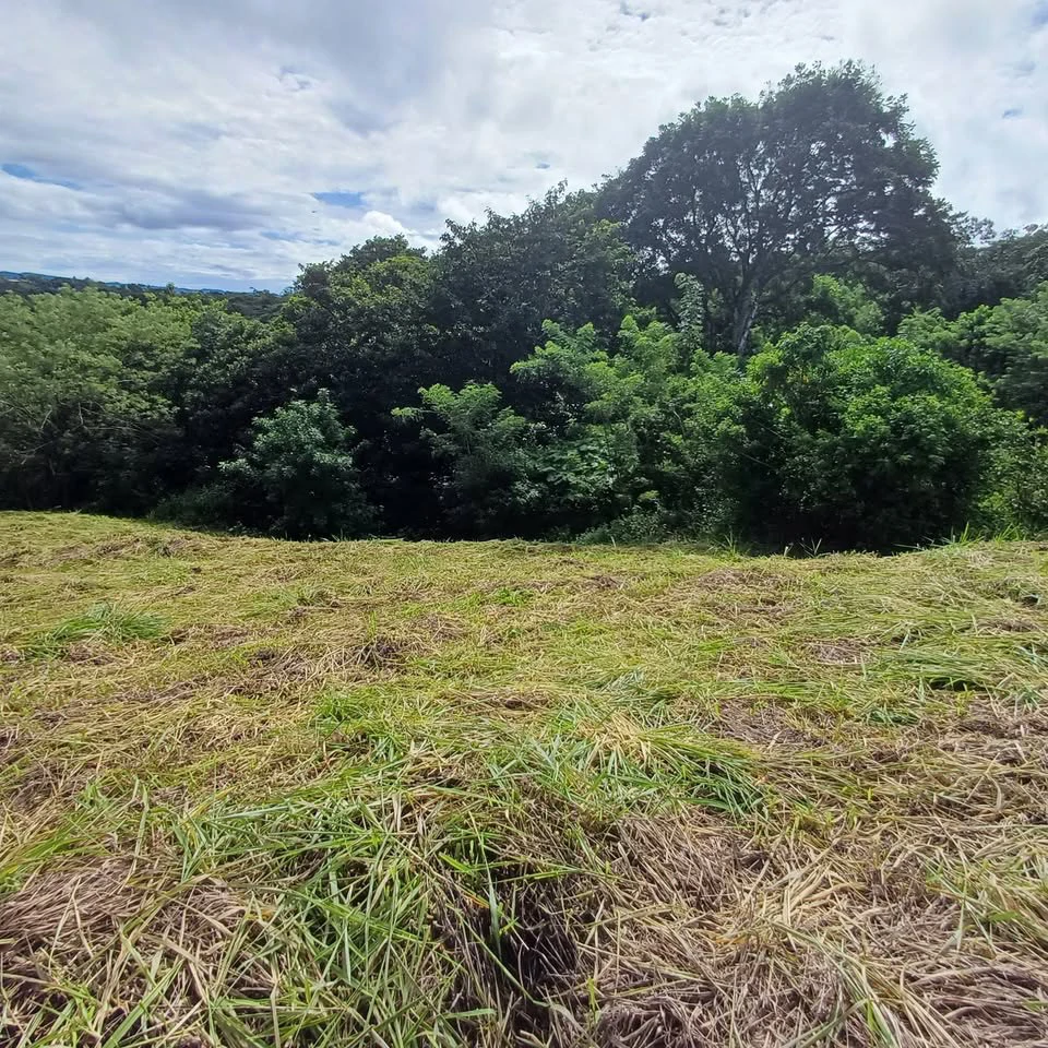BAY VIEW PARADISE: Large Building Lot, Lake Arenal View - Gallery image 4