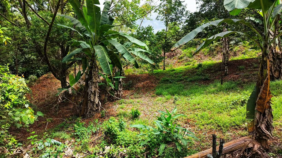 Home Construction Site For Sale in San Rafael Norte - Gallery image 3
