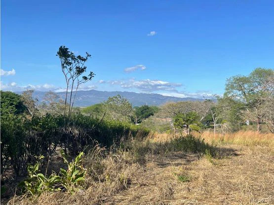 For Sale: This beautiful flat lot in La Ceiba of Orotina - Gallery image 5